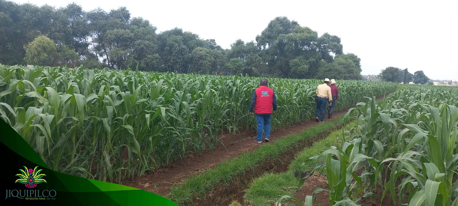 1688992648 En la Direccion del Campo seguimos trabajando visitando parcelas de