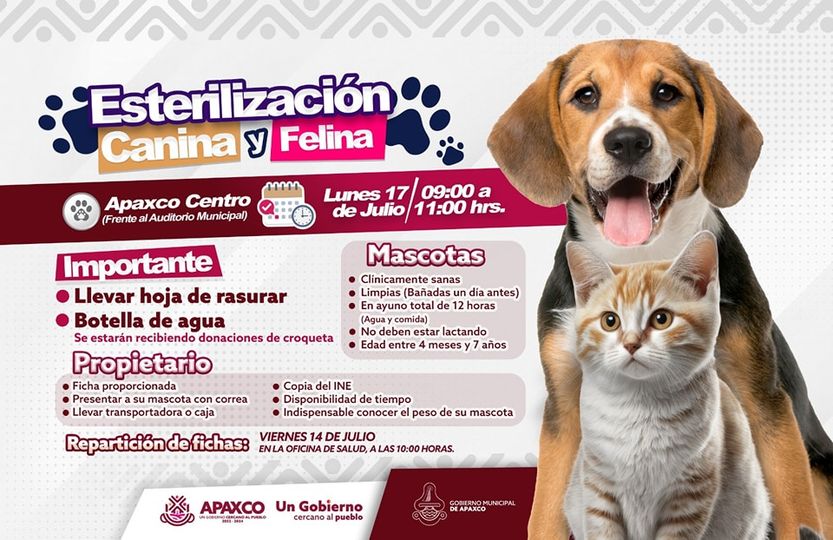 1689009288 EN APAXCO CENTRO ESTERILIZACION GRATUITA CANINA Y FELINA