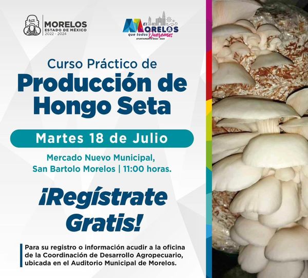 1689011801 ¡Inscribete ya al Curso Practico de Produccion de Hongo Seta