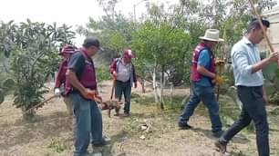 1689012465 Continuamos embelleciendo Ecatepec ahora Valle de Guadiana en la QuintaZona