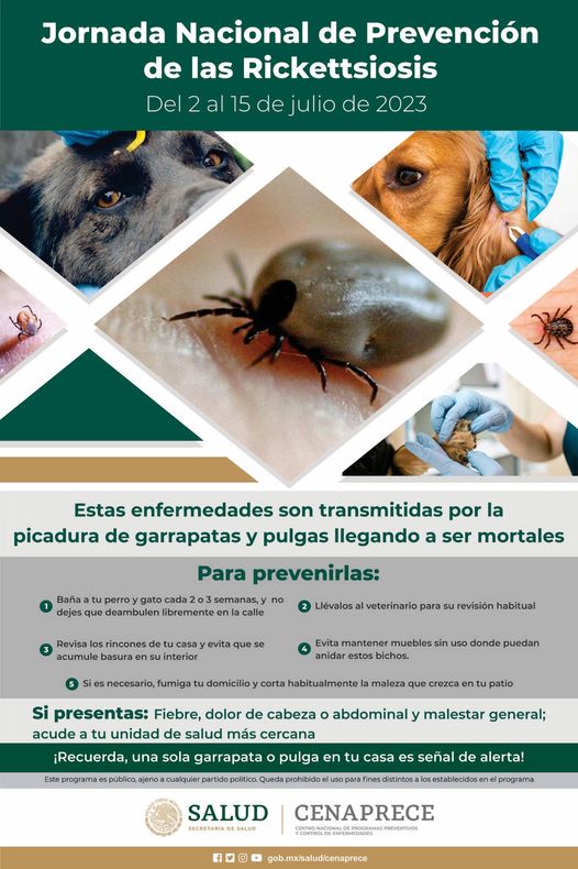 1689024273 La rickettsiosis abarca un grupo de enfermedades infecciosas causadas por