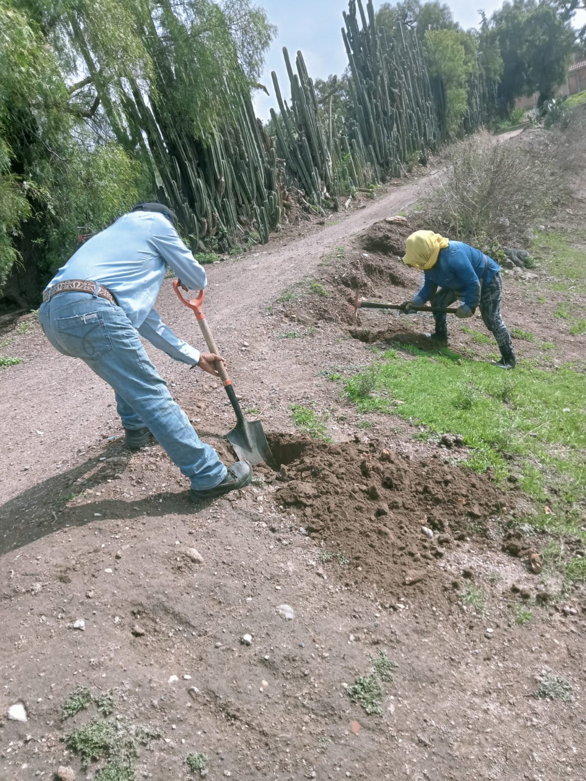 1689026364 707 Ecologia Jornada de Limpieza en San Juan Teacalco Hacemos