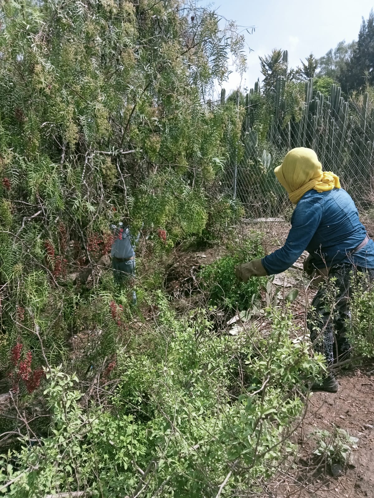 1689026371 859 Ecologia Jornada de Limpieza en San Juan Teacalco Hacemos