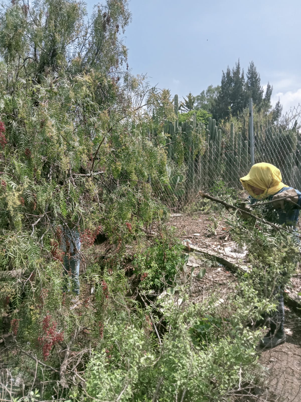 1689026378 220 Ecologia Jornada de Limpieza en San Juan Teacalco Hacemos