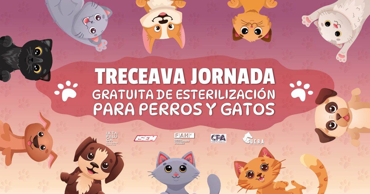 1689027776 Pre Registro para la Treceava Jornada Gratuita de Esterilizacion de Perros