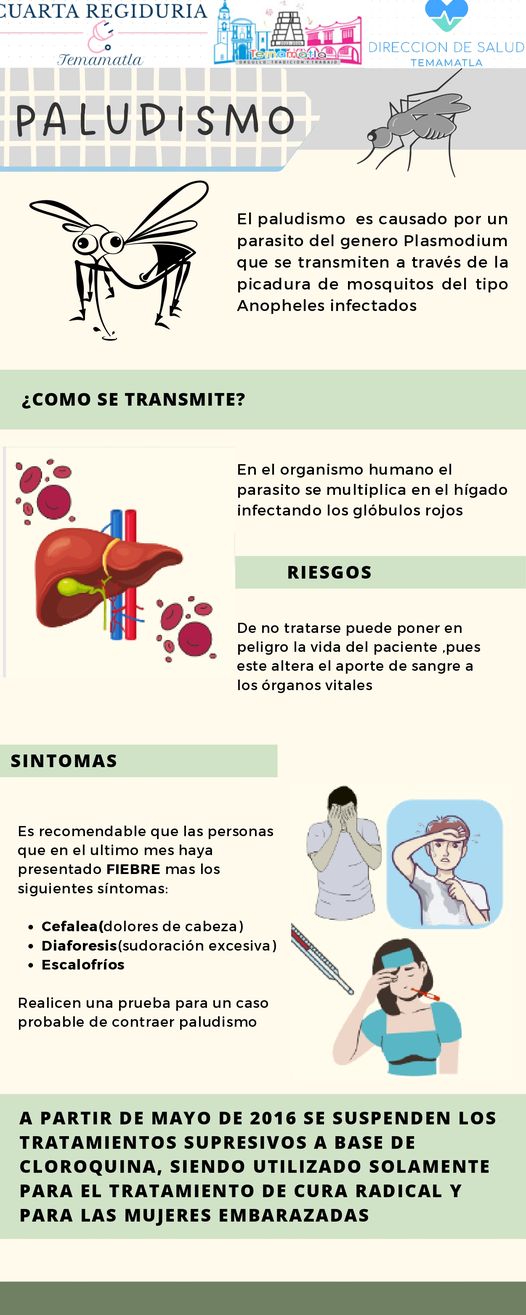 1689029490 infografia PALUDISMO