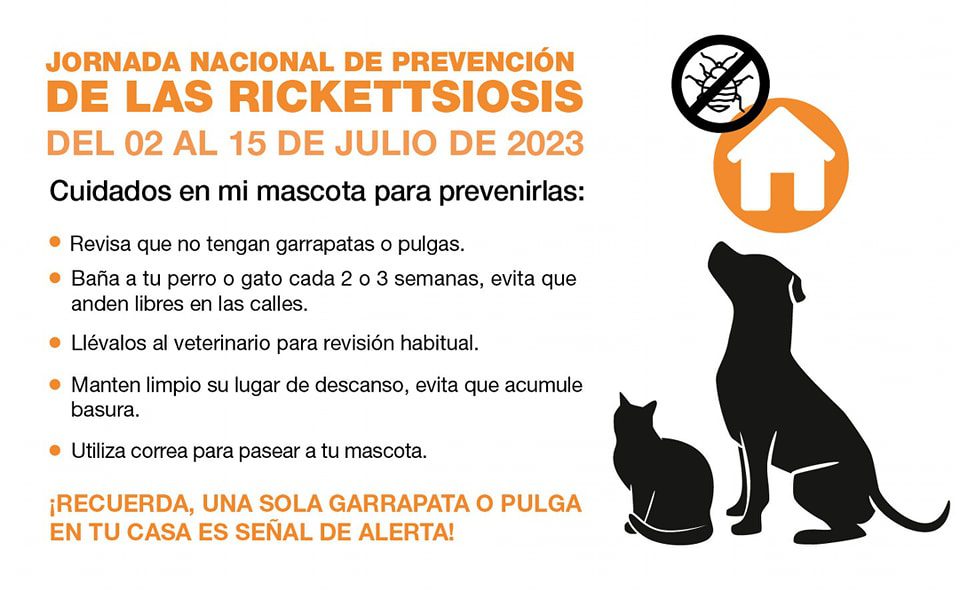 1689032088 Como dueno responsable realiza los cuidados correspondientes esta temporada y