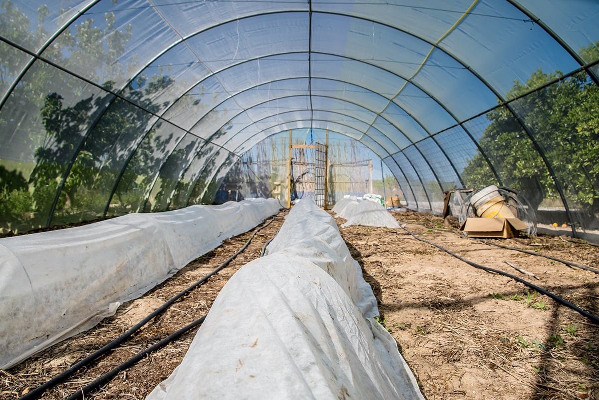 1689115820 941 GOBIERNO DE CHIMALHUACAN Y SECAMPO INCENTIVAN Y APOYAN A PRODUCTORES