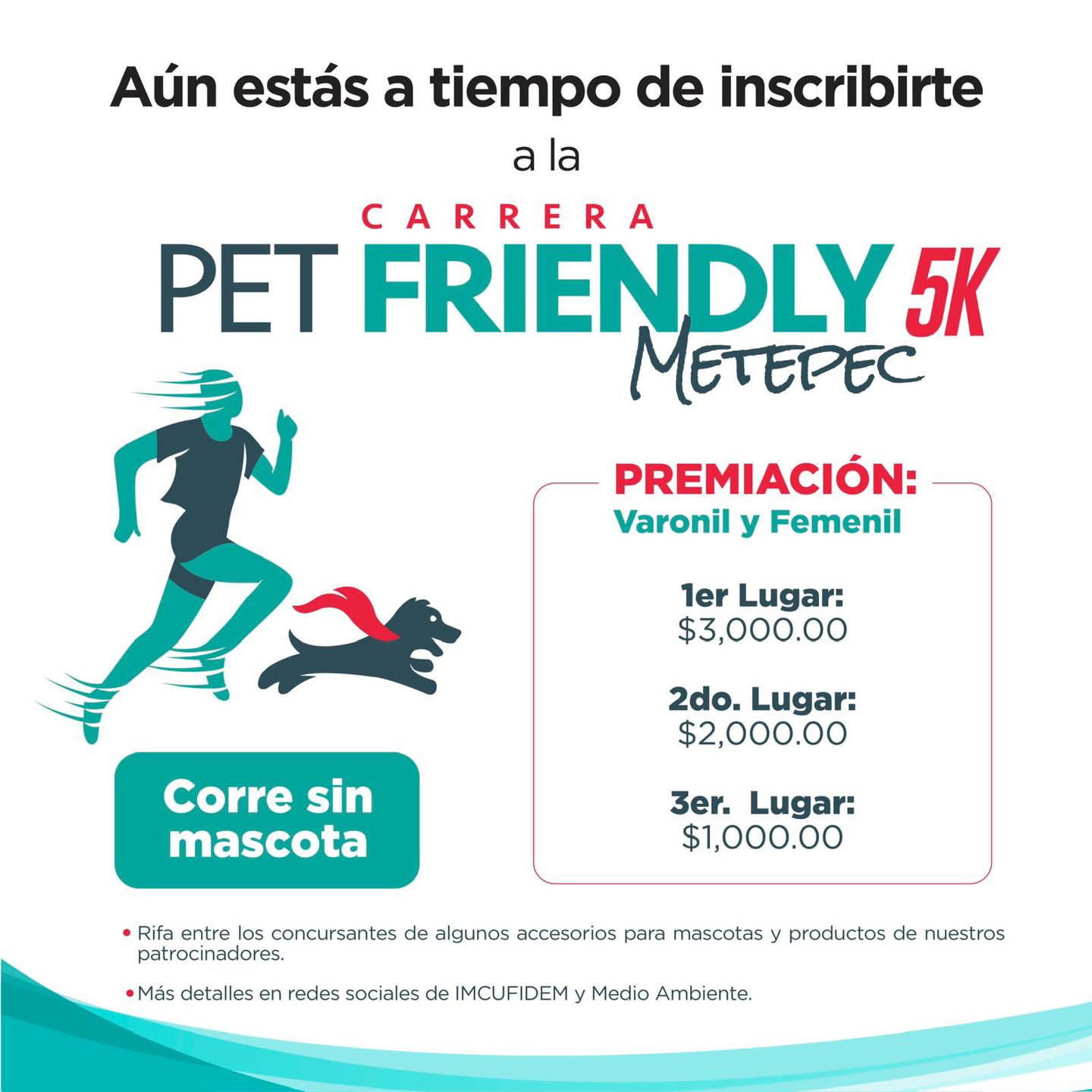 1689178105 197 Estamos a muy pocos dias de la carrera Pet Friendly