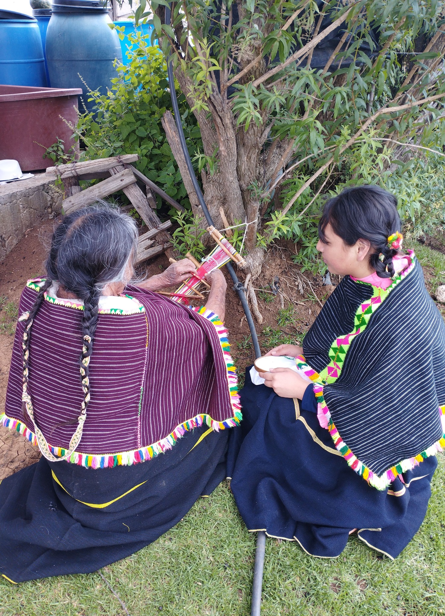 1689969830 47 Les compartimos las fotos del concurso Fotografia al orgullo indigena