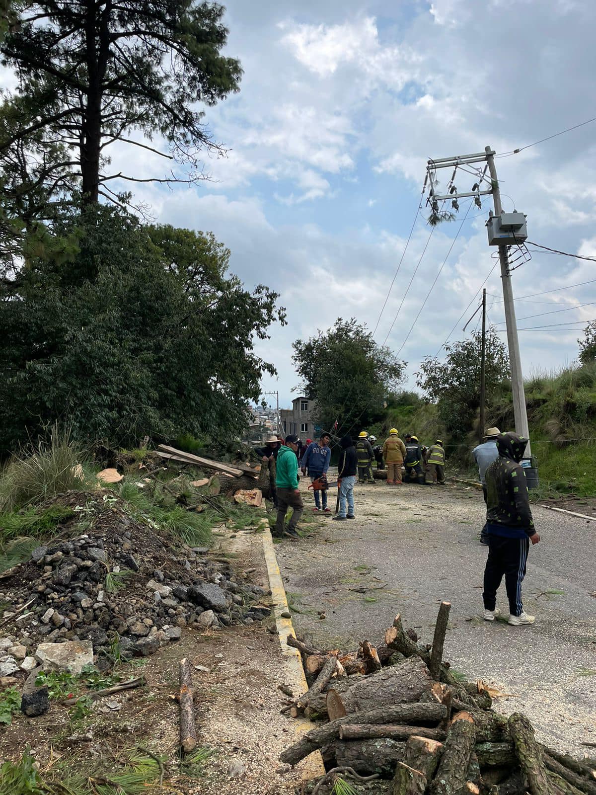 1689972121 917 Debido a la caida de un arbol es afectada la