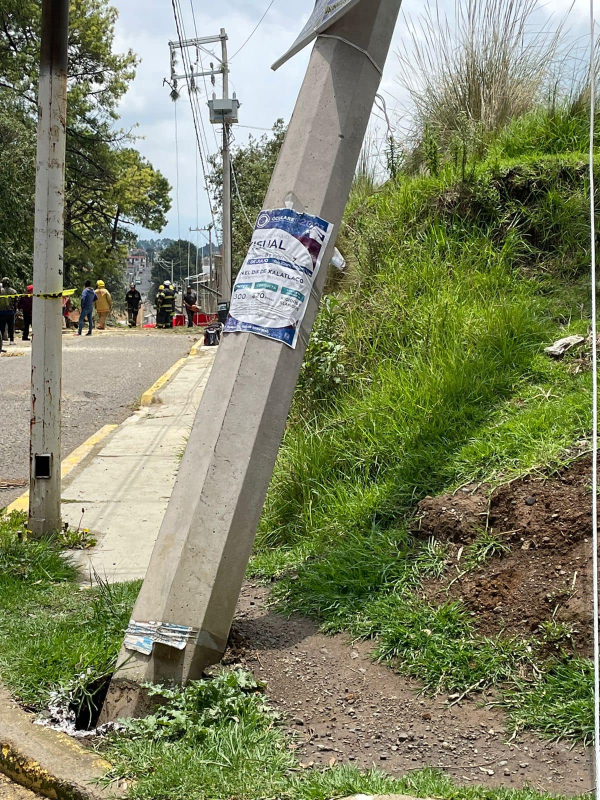 1689972126 661 Debido a la caida de un arbol es afectada la