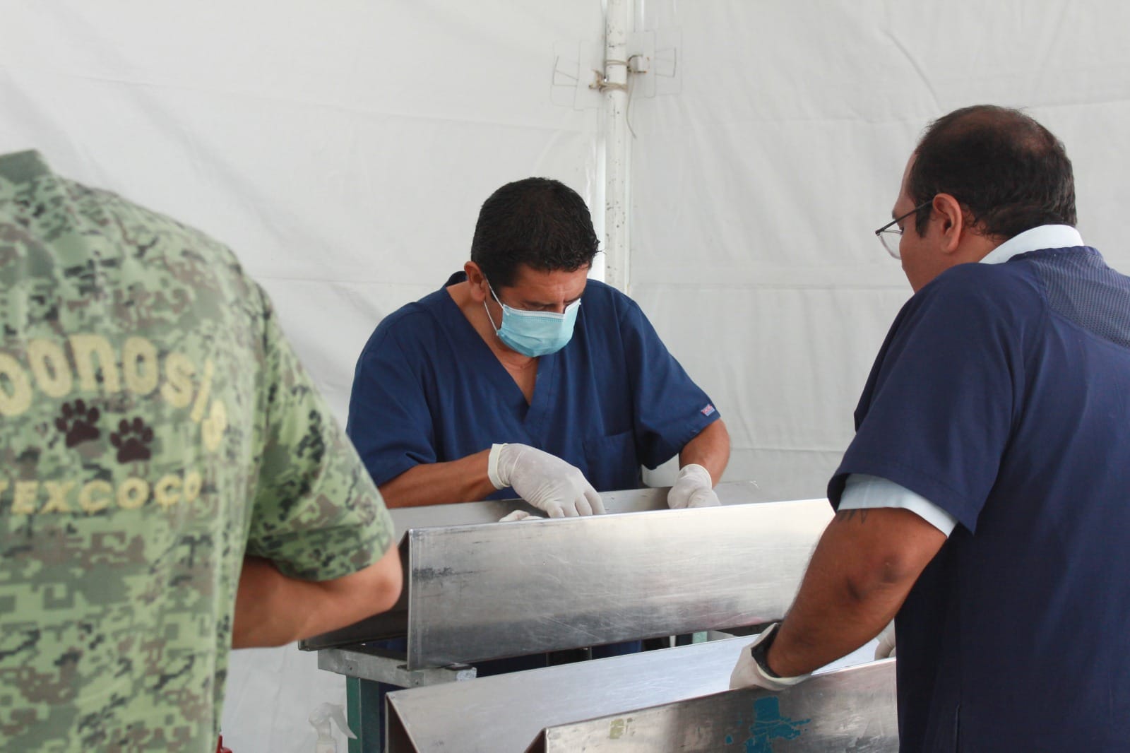 1689975526 786 En este momento se esta realizando la esterilizacion canina y