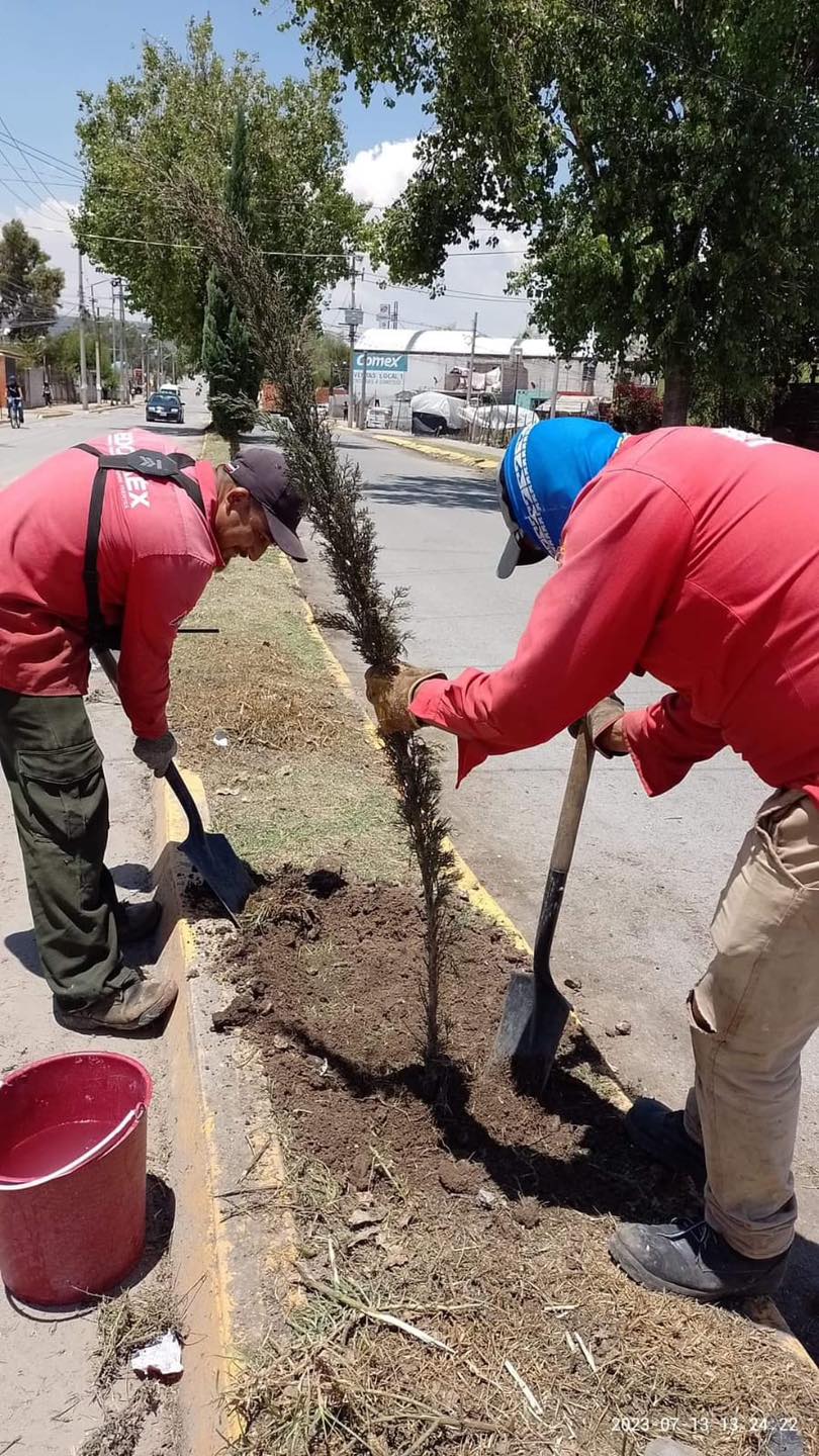 1689977200 821 Dentro del marco conmemorativo del Dia del Arbol llevamos a