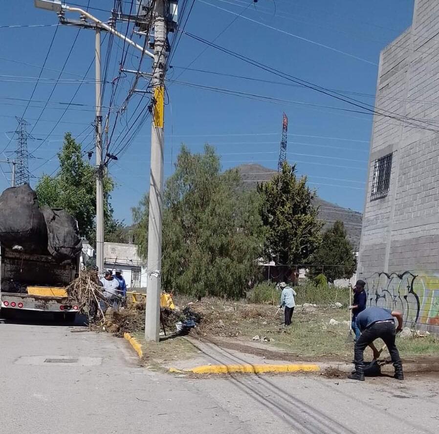 1689977210 878 Dentro del marco conmemorativo del Dia del Arbol llevamos a