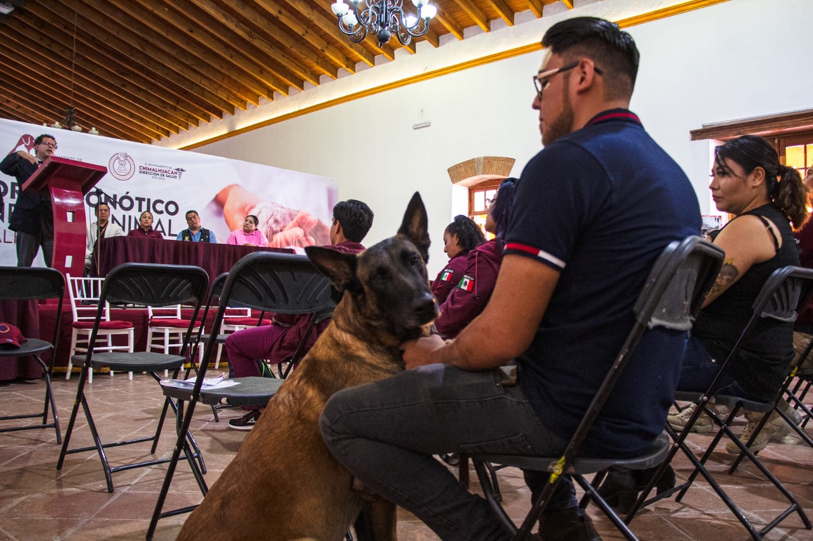 1689977329 247 EN EL DIA MUNDIAL DEL PERRO GOBIERNO DE CHIMALHUACAN REALIZA