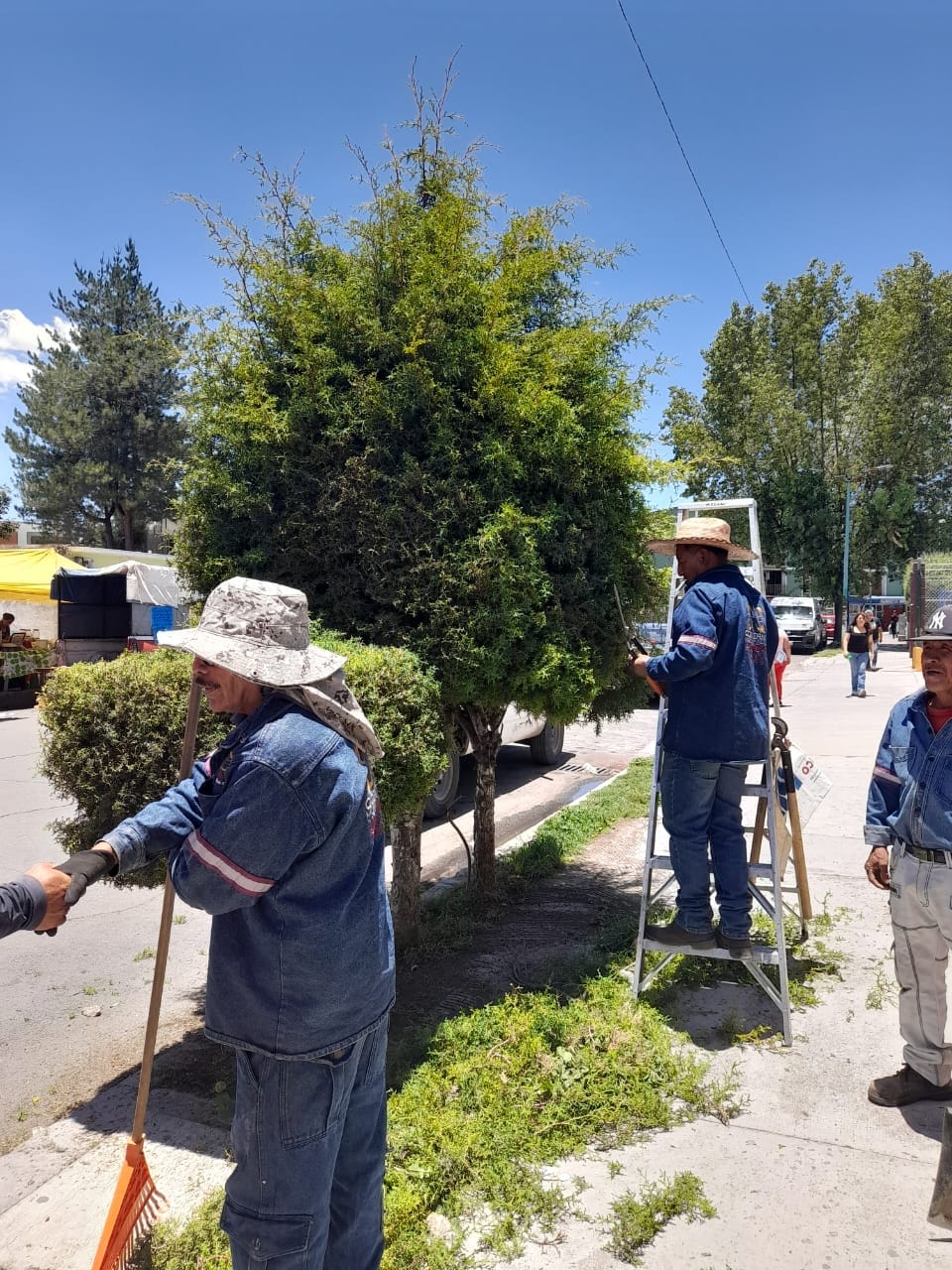 1690027390 965 El Gobierno Municipal de Jaltenco que preside la C Rosario