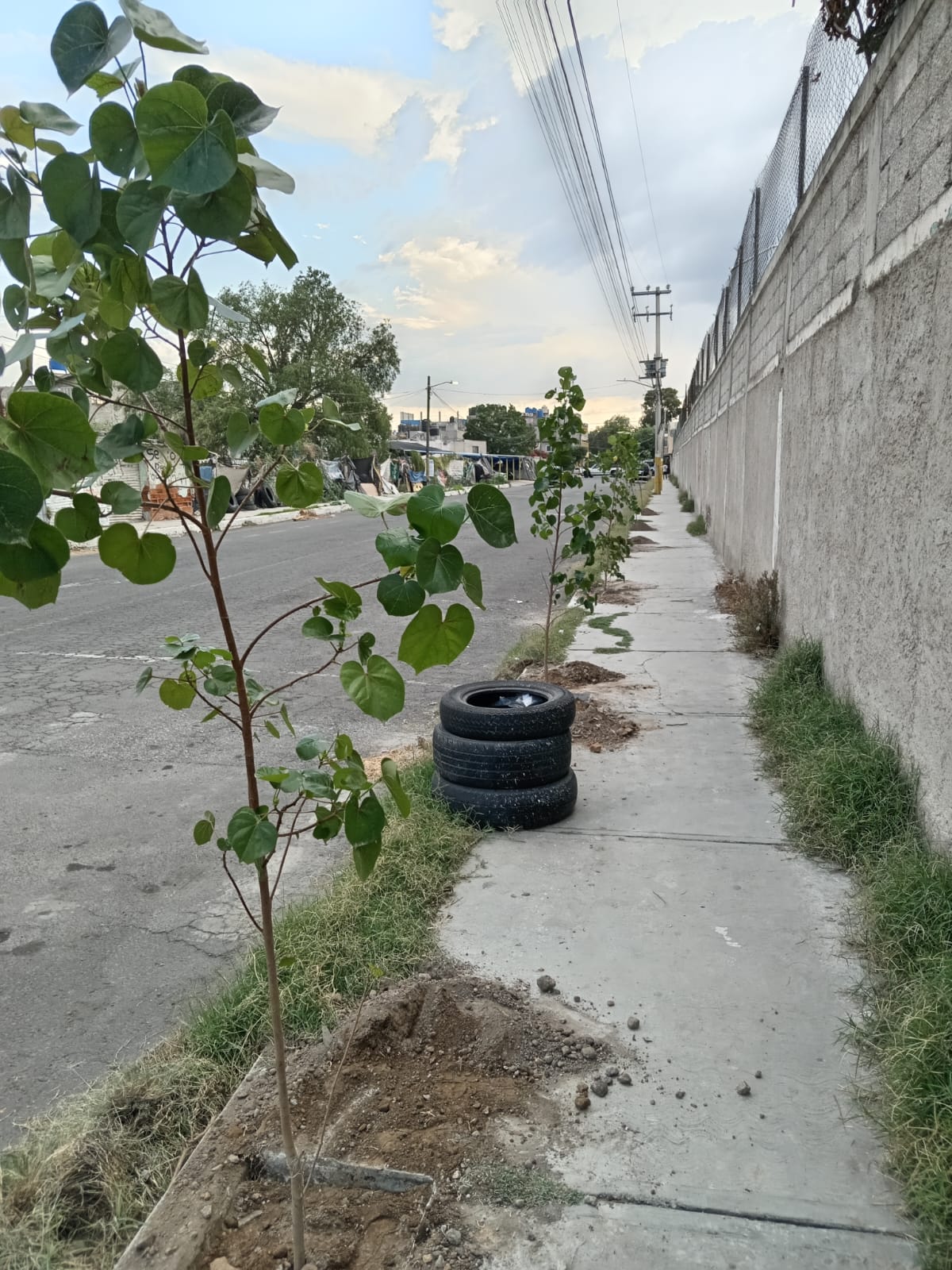 1690033556 967 El Ayuntamiento de Texcoco con ayuda de vecinos continua las