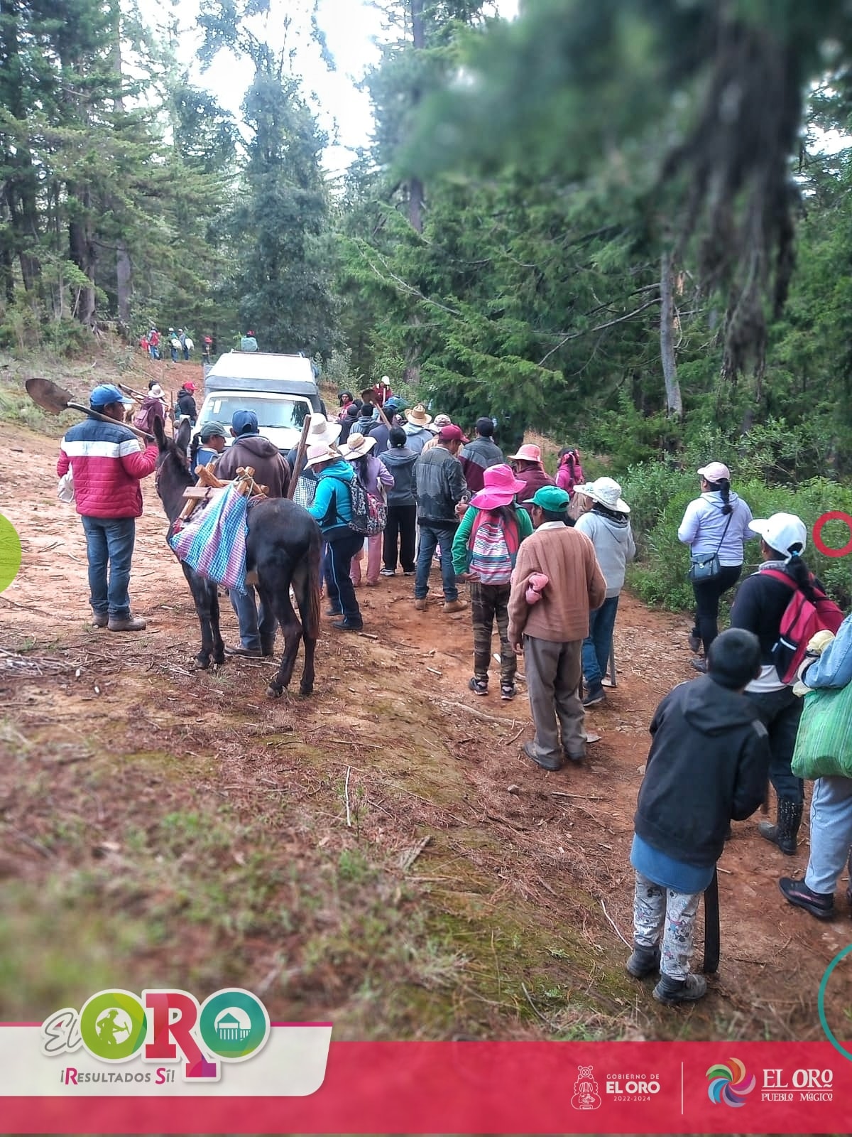 1690039800 943 Reforestamos Cerro Lloron