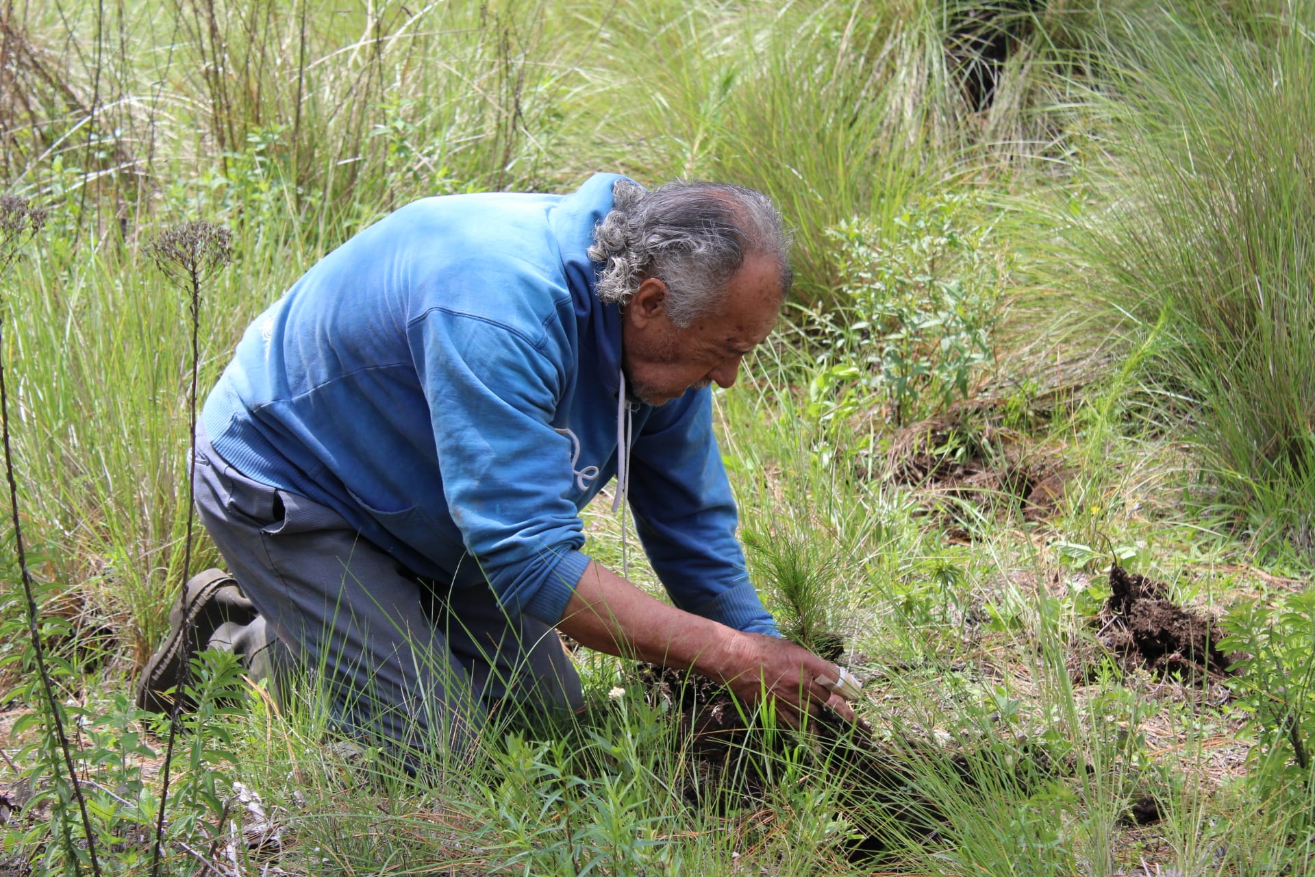 1690056929 561 Con gran entusiasmo realizamos esta manana una jornada de reforestacion