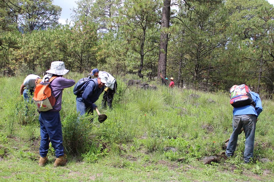 1690056934 969 Con gran entusiasmo realizamos esta manana una jornada de reforestacion