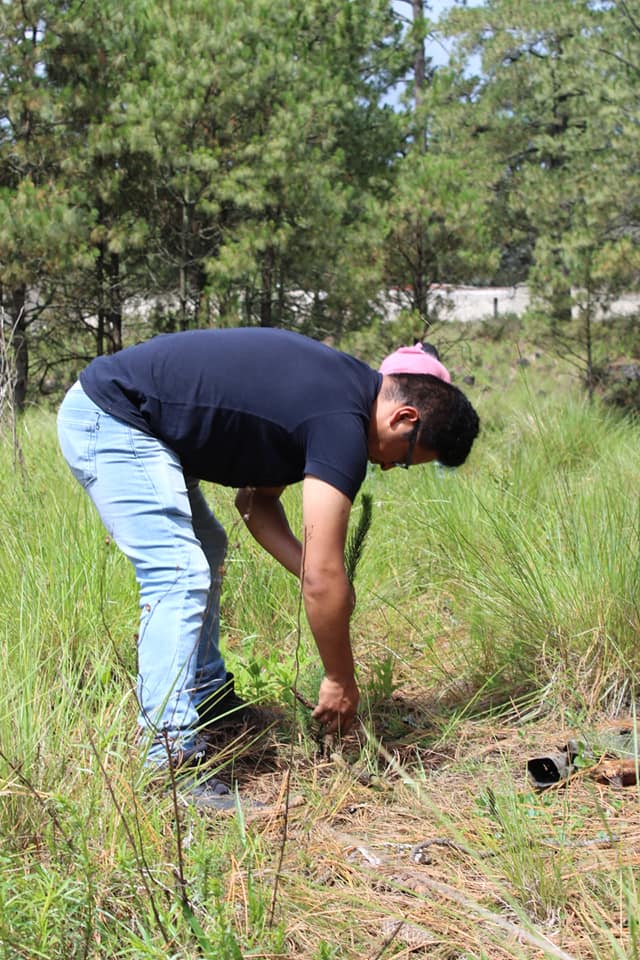 1690064378 737 Con gran entusiasmo realizamos esta manana una jornada de reforestacion