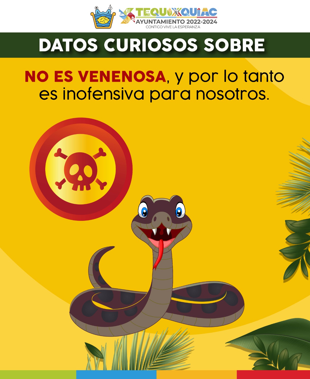 1690124344 485 Conoce al cincuate una serpiente que habita en los ecosistemas