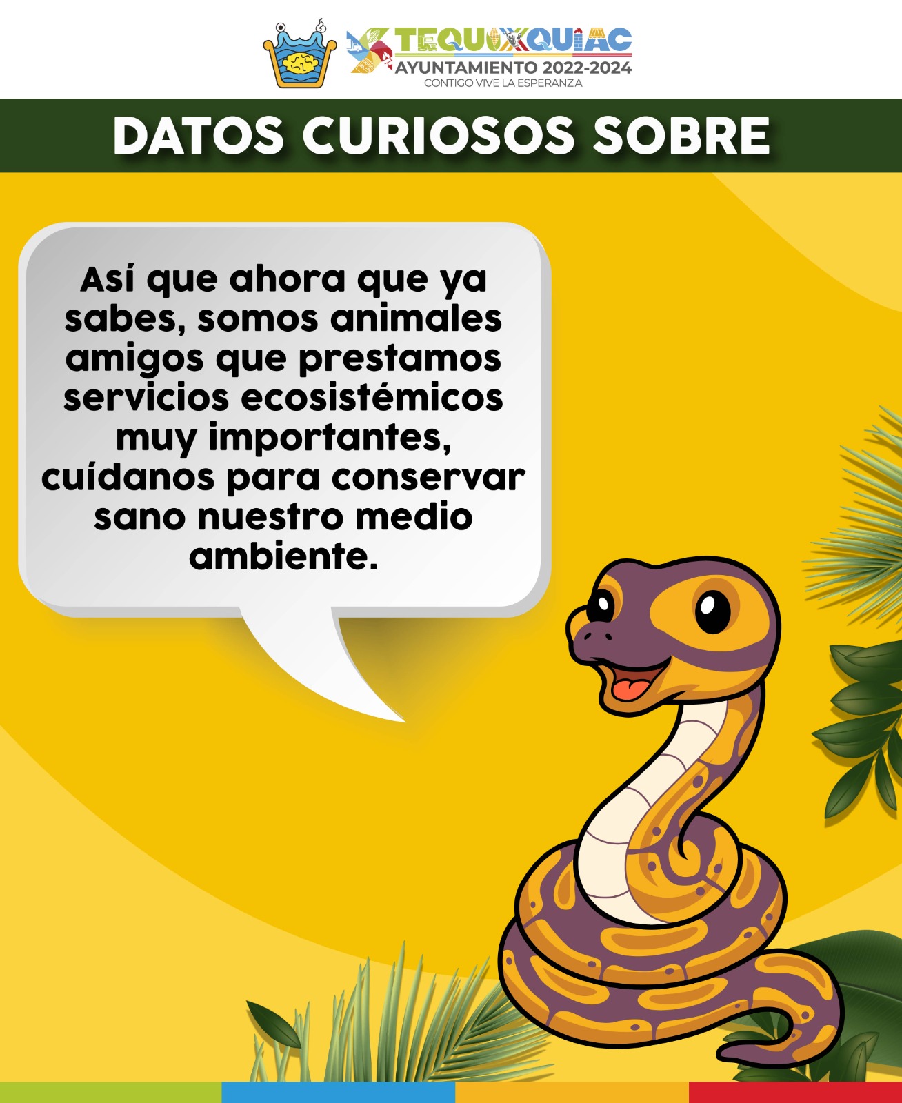 1690124348 382 Conoce al cincuate una serpiente que habita en los ecosistemas