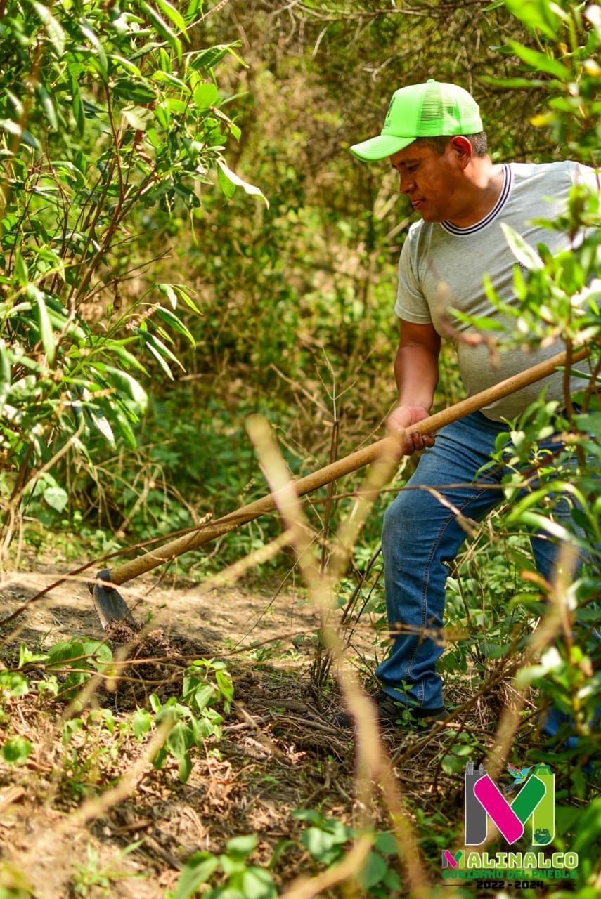 1690126694 413 Realizamos una jornada de reforestacion en conjunto con los ejidatarios