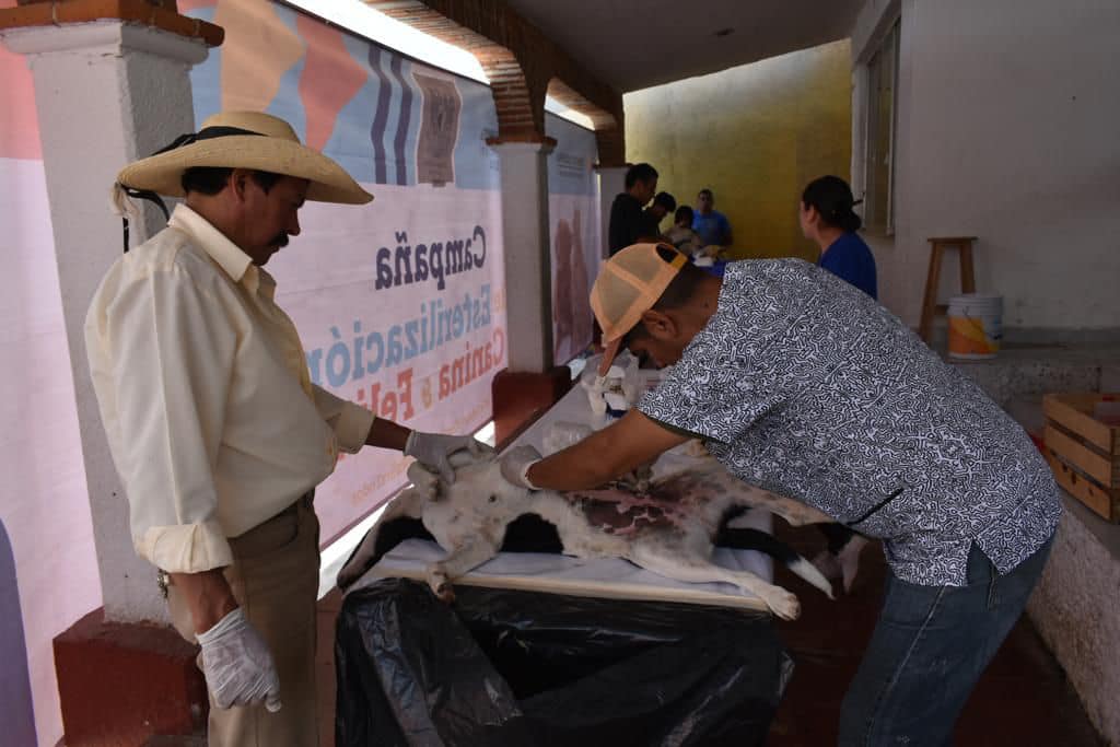 1690130103 513 En la comunidad de San Simon de la Laguna se