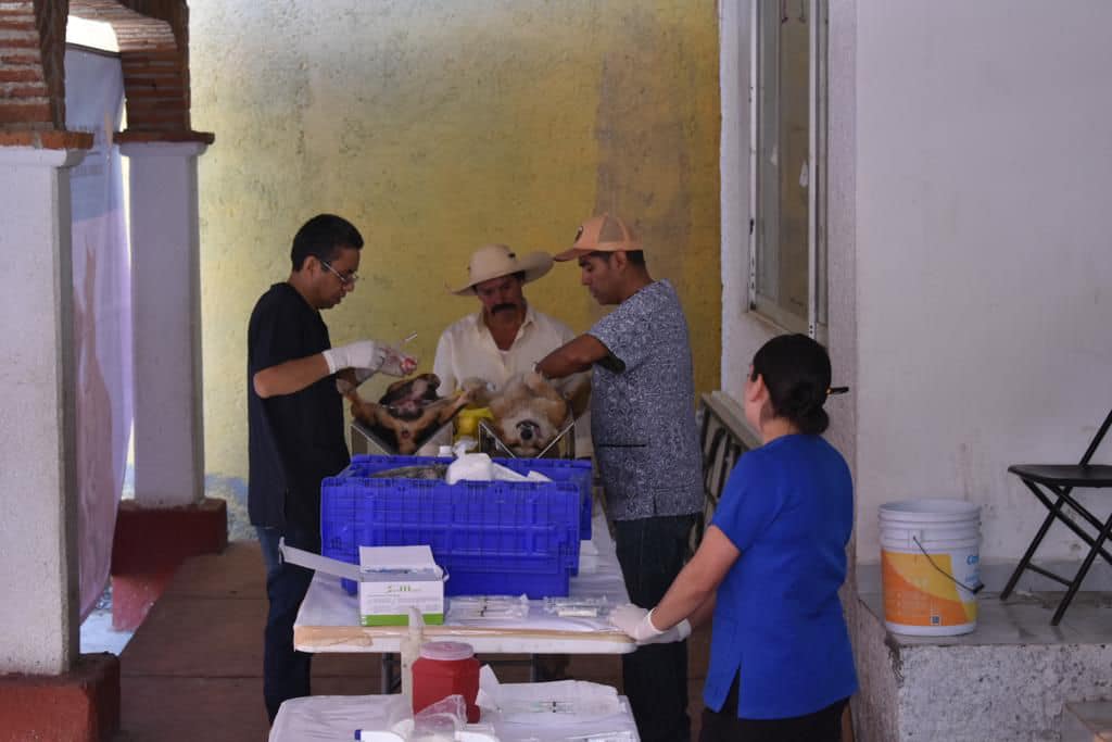 1690130107 390 En la comunidad de San Simon de la Laguna se