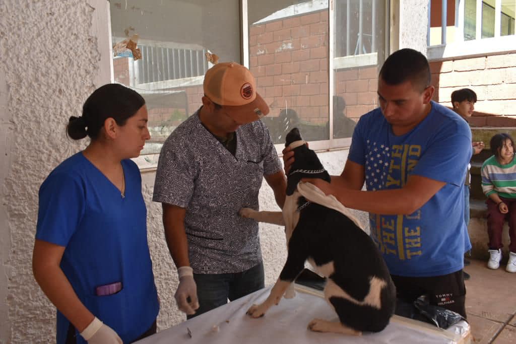 1690130111 850 En la comunidad de San Simon de la Laguna se