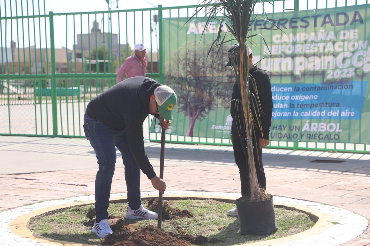 1690131683 673 Nuestra campana de reforestacion Zumpango2023 sigue en marcha y estamos