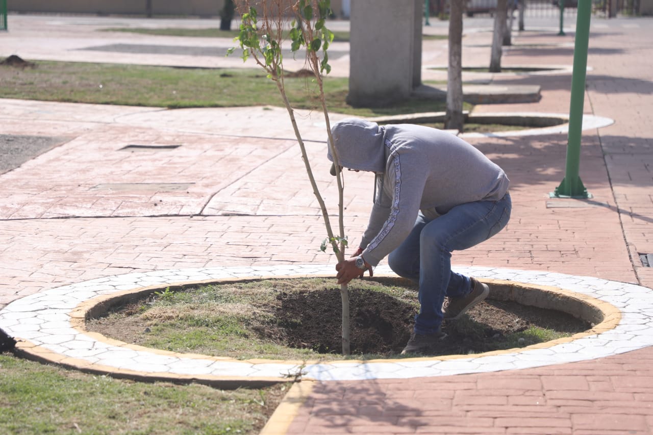 1690131687 488 Nuestra campana de reforestacion Zumpango2023 sigue en marcha y estamos