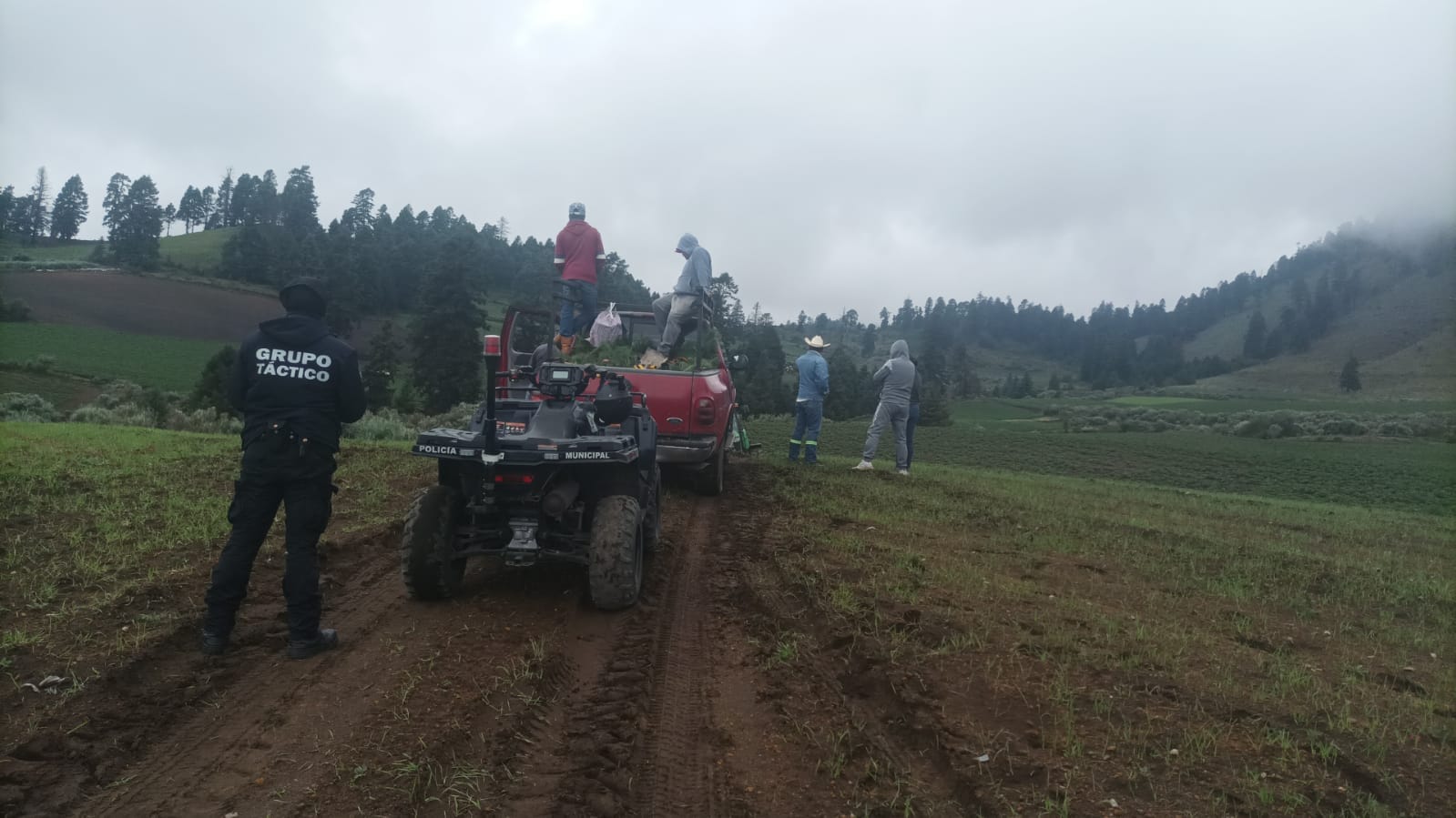 1690143354 79 ¡Estamos reforestando Son seis mil arboles que en una primera