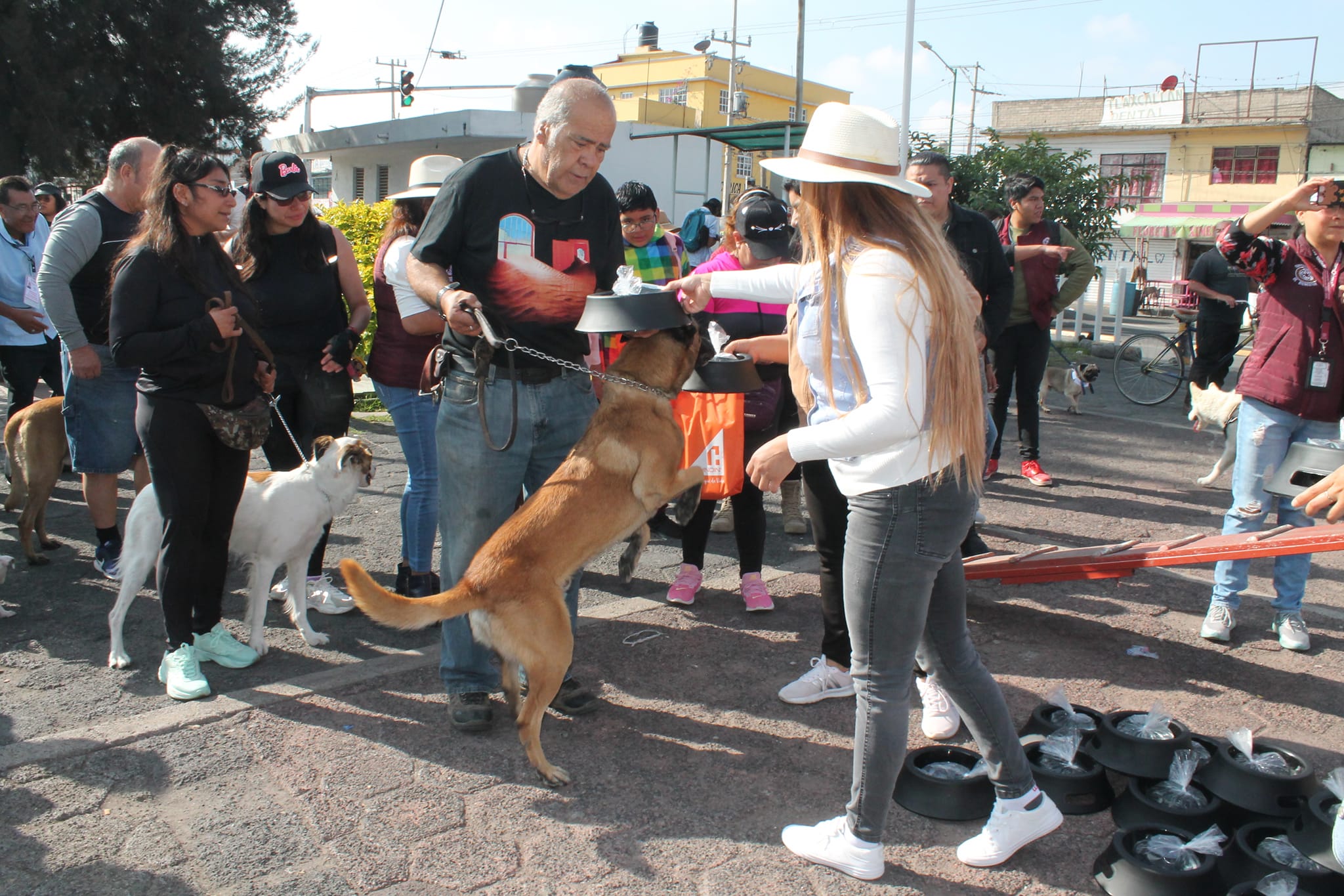 1690152613 53 SEGUNDA CAMINATA CANINA Y FELINA EN CHIMALHUACAN