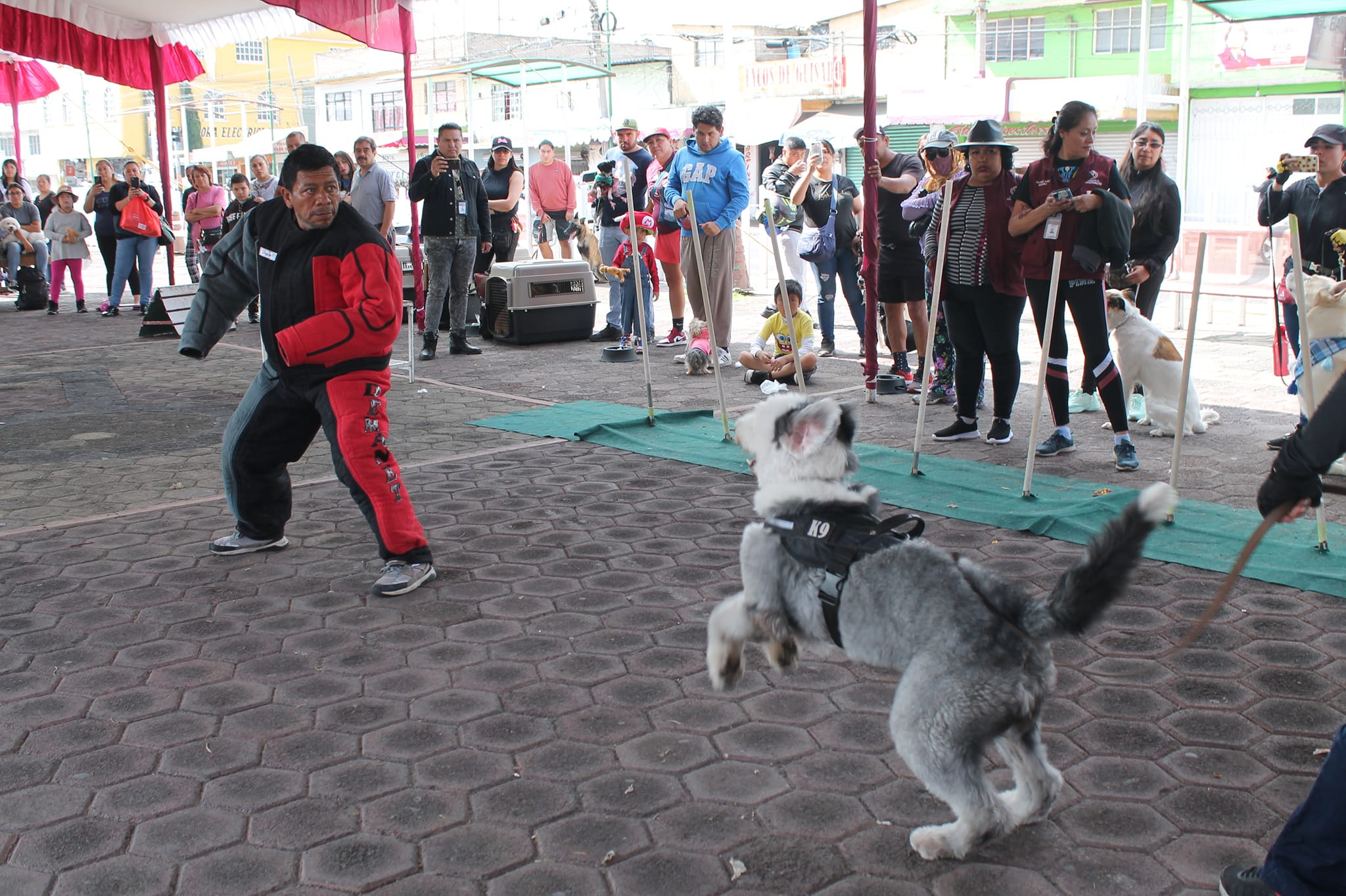 1690152617 336 SEGUNDA CAMINATA CANINA Y FELINA EN CHIMALHUACAN