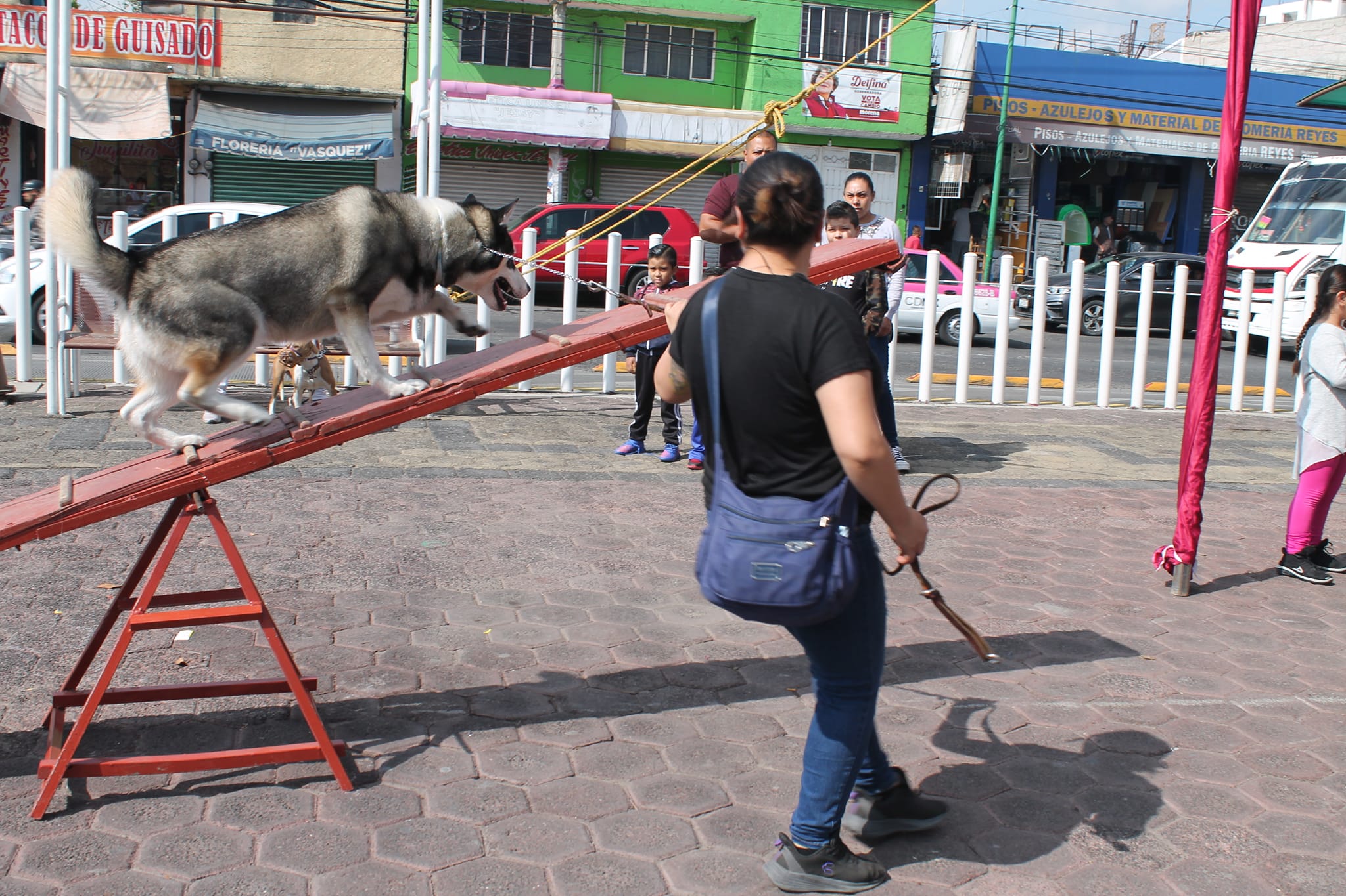 1690152620 630 SEGUNDA CAMINATA CANINA Y FELINA EN CHIMALHUACAN