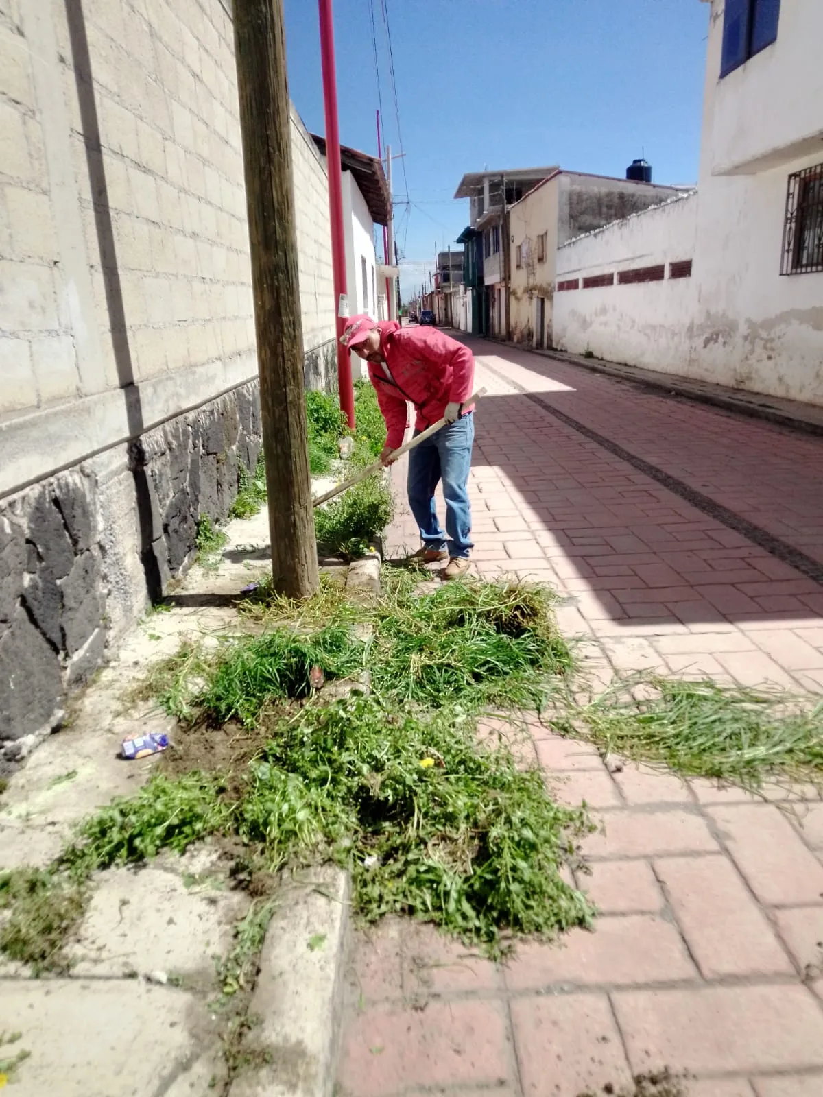 1690155062 El Gobierno Municipal de Texcalyacac a traves de la Direccion jpg