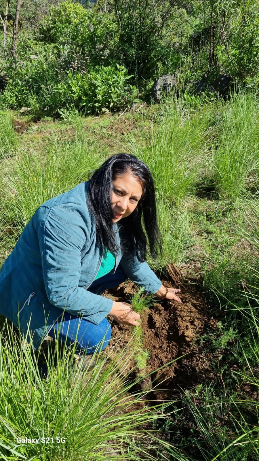 1690202418 655 Finalizamos esta semana con una jornada de reforestacion en la