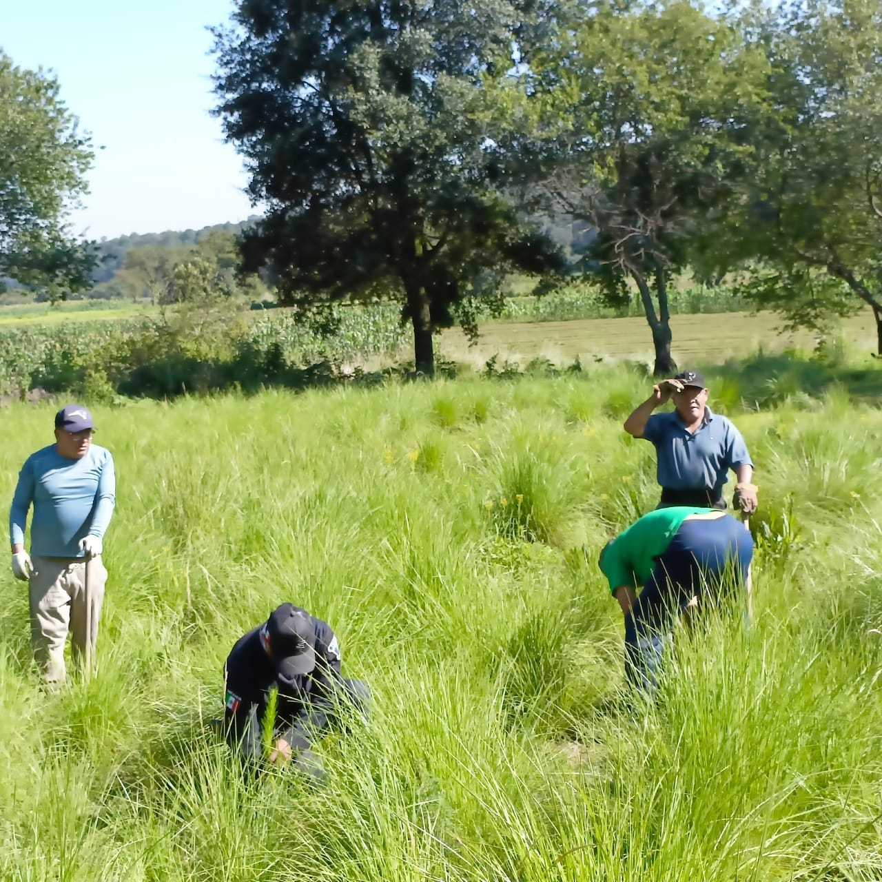 1690202422 821 Finalizamos esta semana con una jornada de reforestacion en la