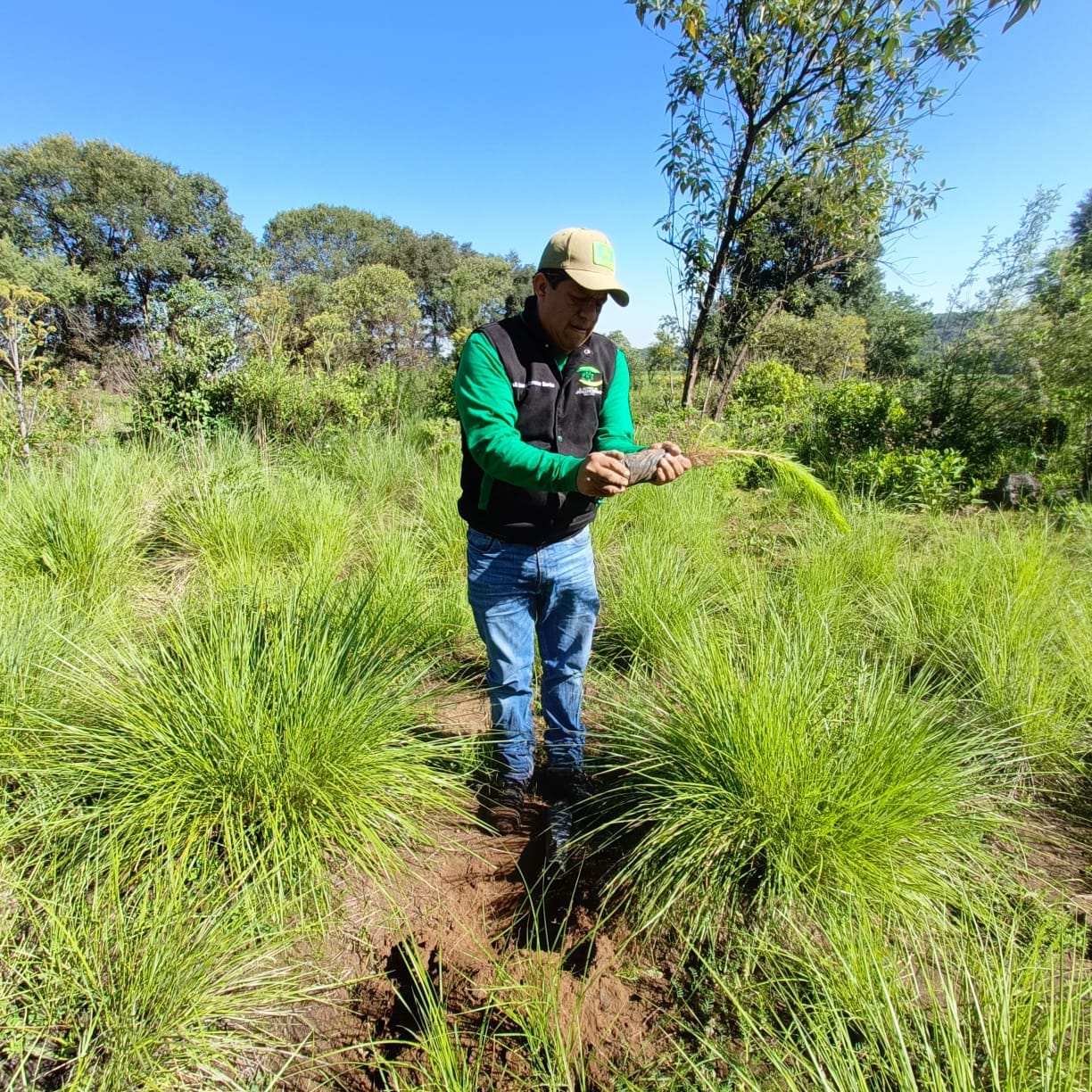 1690202425 633 Finalizamos esta semana con una jornada de reforestacion en la