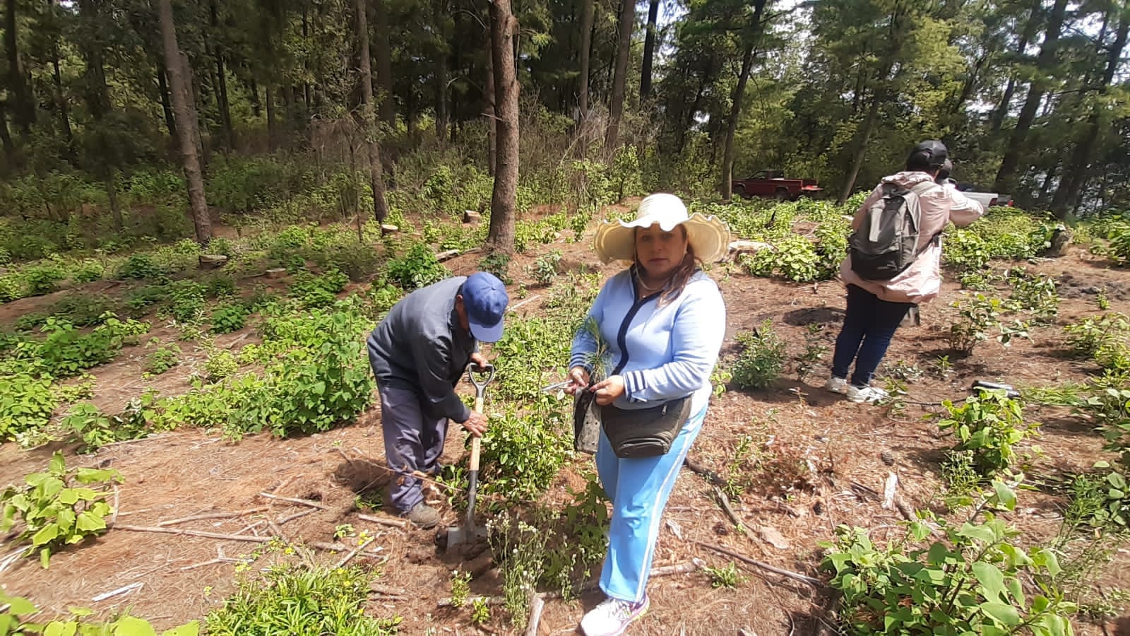 1690227525 766 Culminamos la Campana de Reforestacion en las delegaciones de San