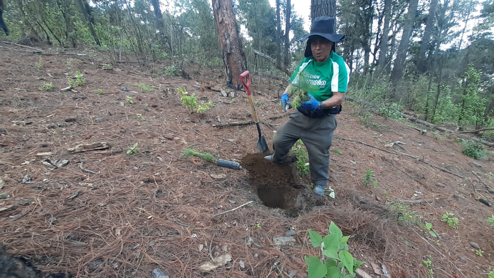 1690227530 333 Culminamos la Campana de Reforestacion en las delegaciones de San