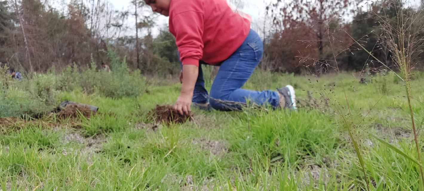 1690229976 221 Ensenar a cuidar el medio ambiente es ensenar a valorar