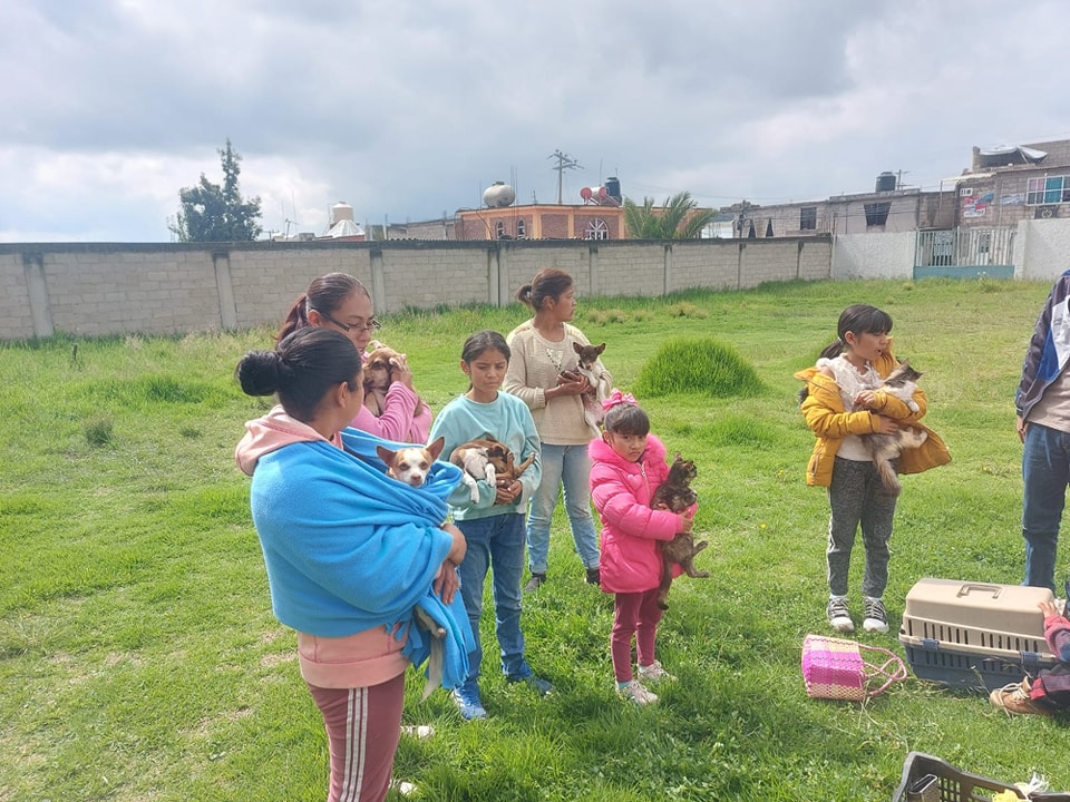 1690238238 407 Hoy en San Miguel Balderas acercamos una jornada de esterilizacion