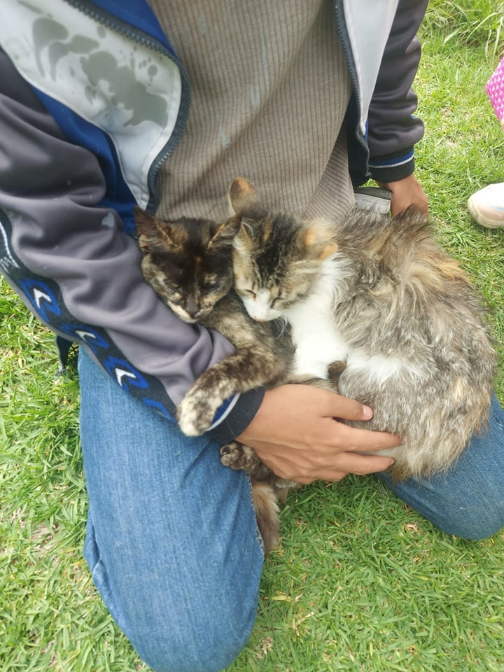 1690238246 286 Hoy en San Miguel Balderas acercamos una jornada de esterilizacion