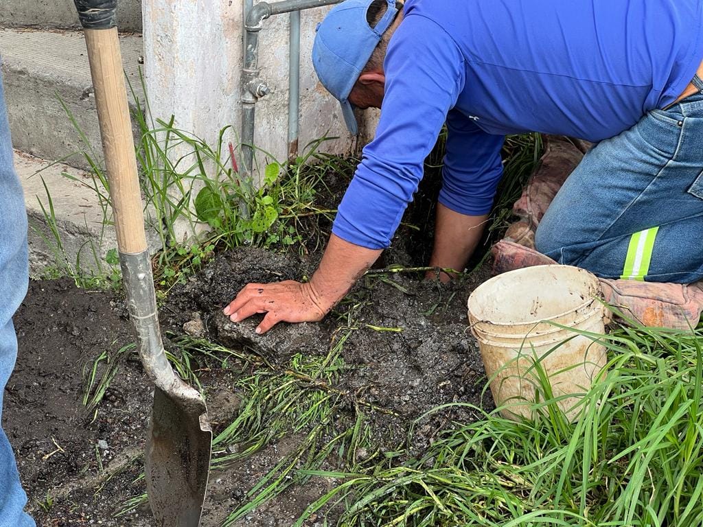 1690239122 322 El Opdapas de Metepec continua trabajando de la mano de