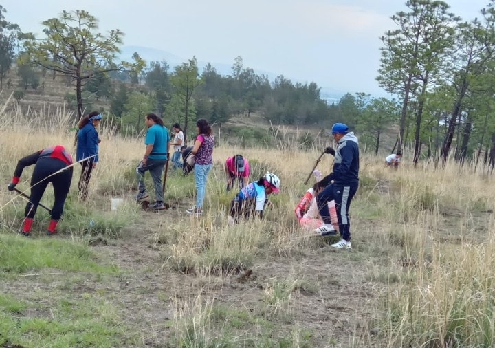 1690310467 100 Jornada de reforestacion en la comunidad de San Miguel Coatlinchan