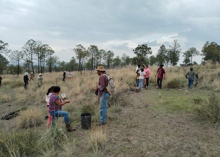 1690310471 572 Jornada de reforestacion en la comunidad de San Miguel Coatlinchan